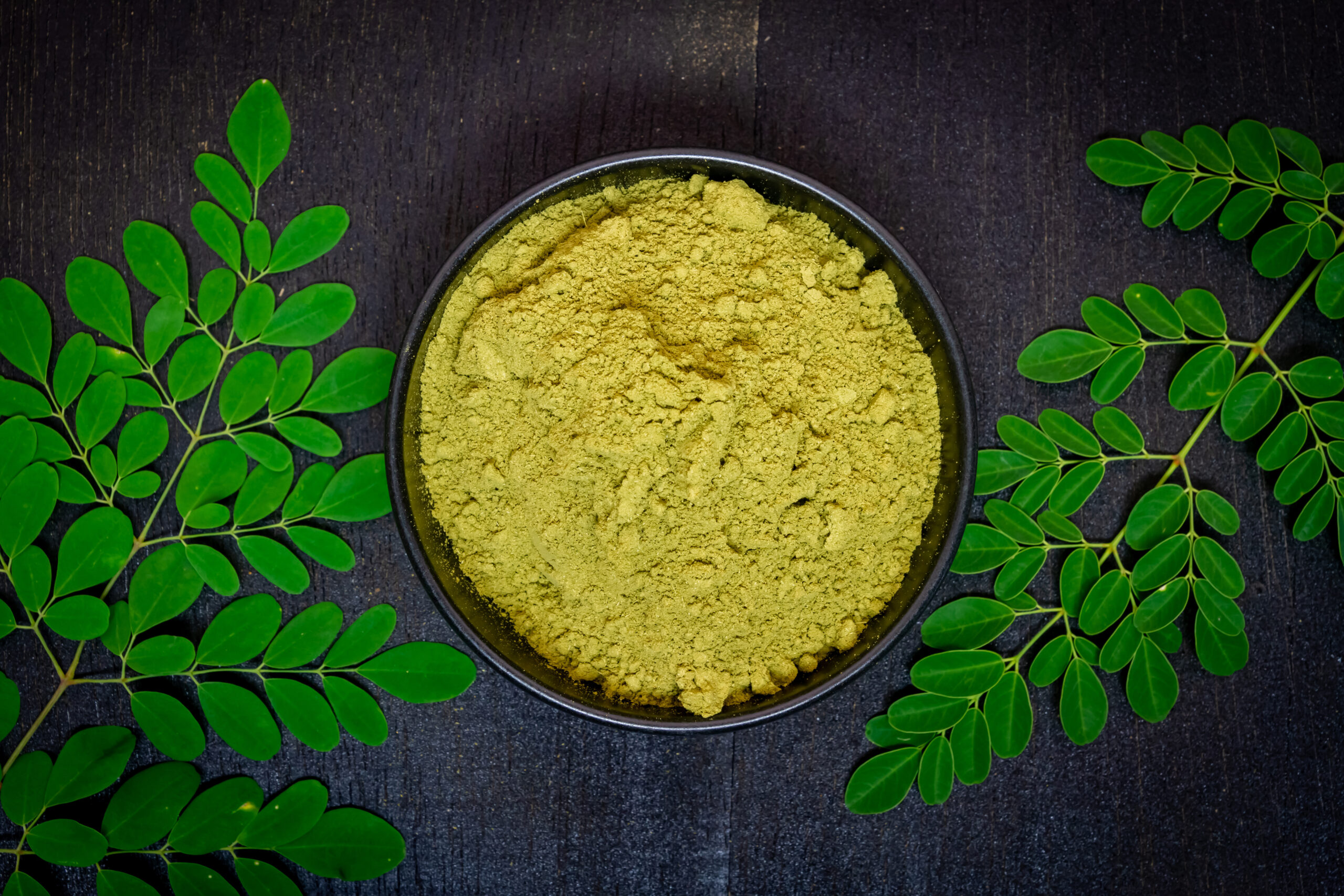 Moringa powder in black bowl ceramic and Moringa fresh green lea